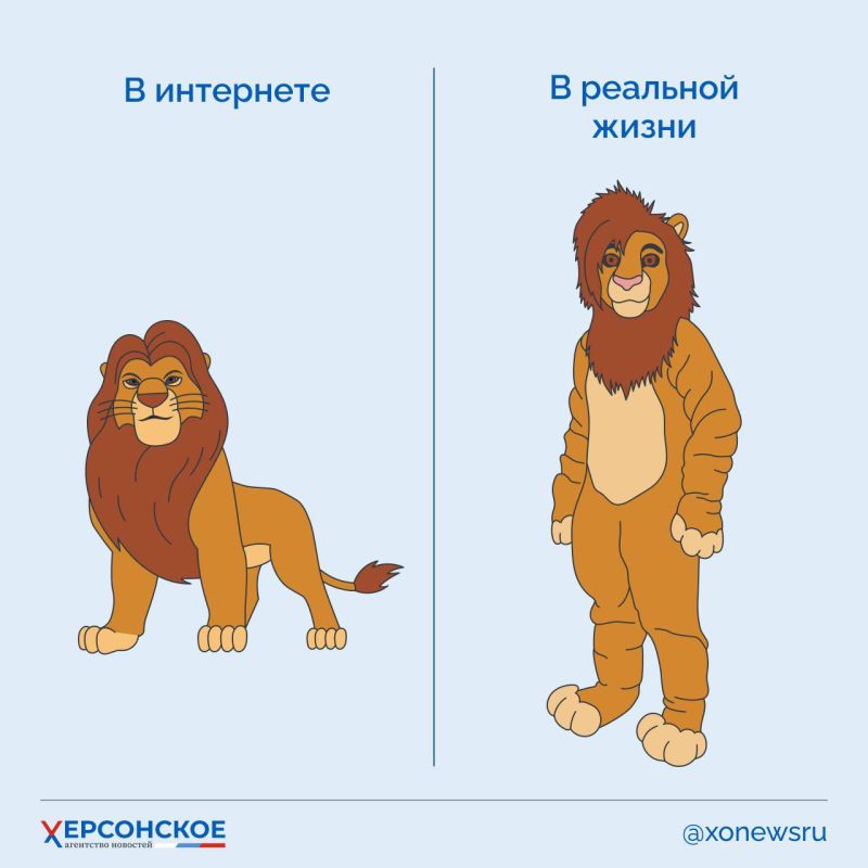 Кто такие квадроберы, все разобрались — так часто про них сейчас говорят и пишут Кто такие квадроберы, все разобрались — так часто про них сейчас говорят и пишут