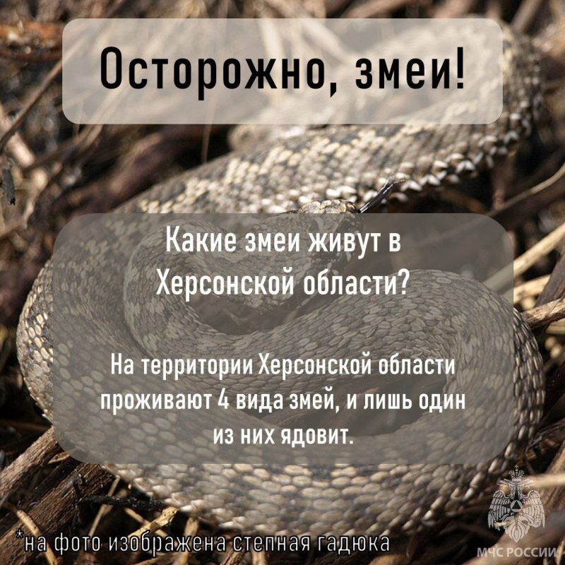   . ?     -     