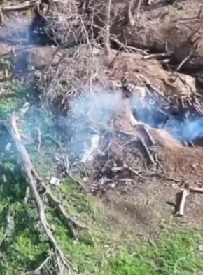     FPV              