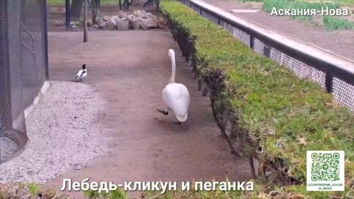   !.  ,      ,      