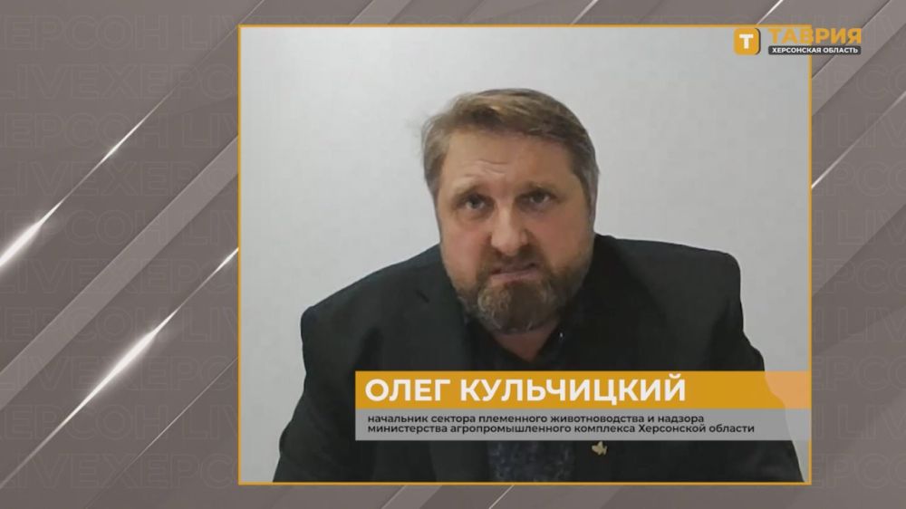 Около 150 тонн меда было произведено в Херсонской области в 2024 году, рассказал Олег Кульчицкий