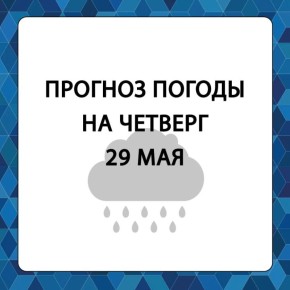        , 29 