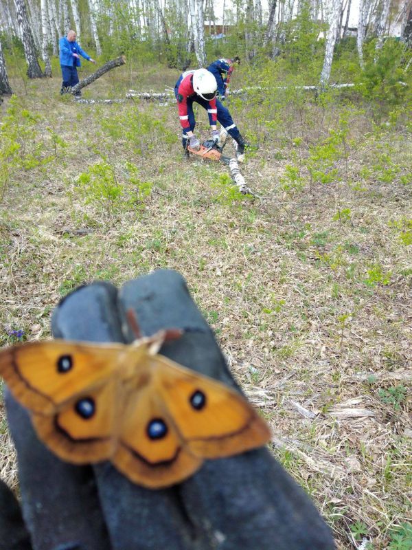  : #. #