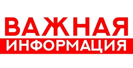  !.            31.01.2025   08-    13 2025        (   ...