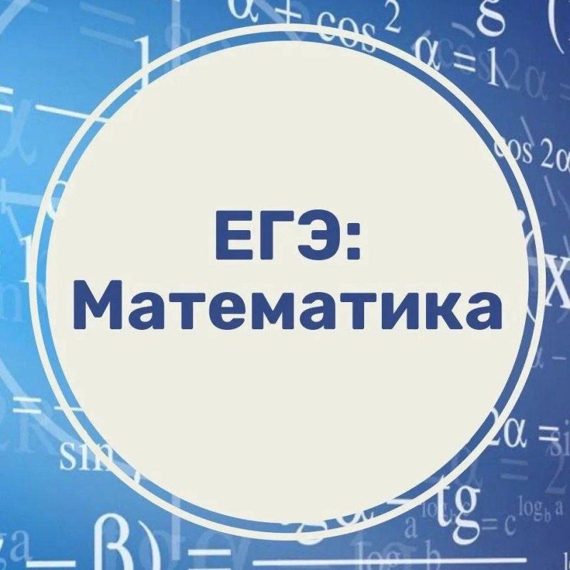  !.            31.01.2025   08-    13 2025        (   ...