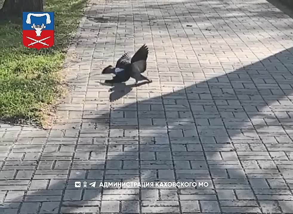  ,    !
