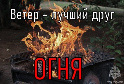     .   :    ,    ,              !  ...