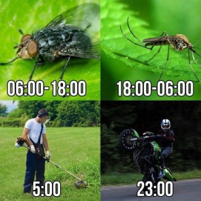     !