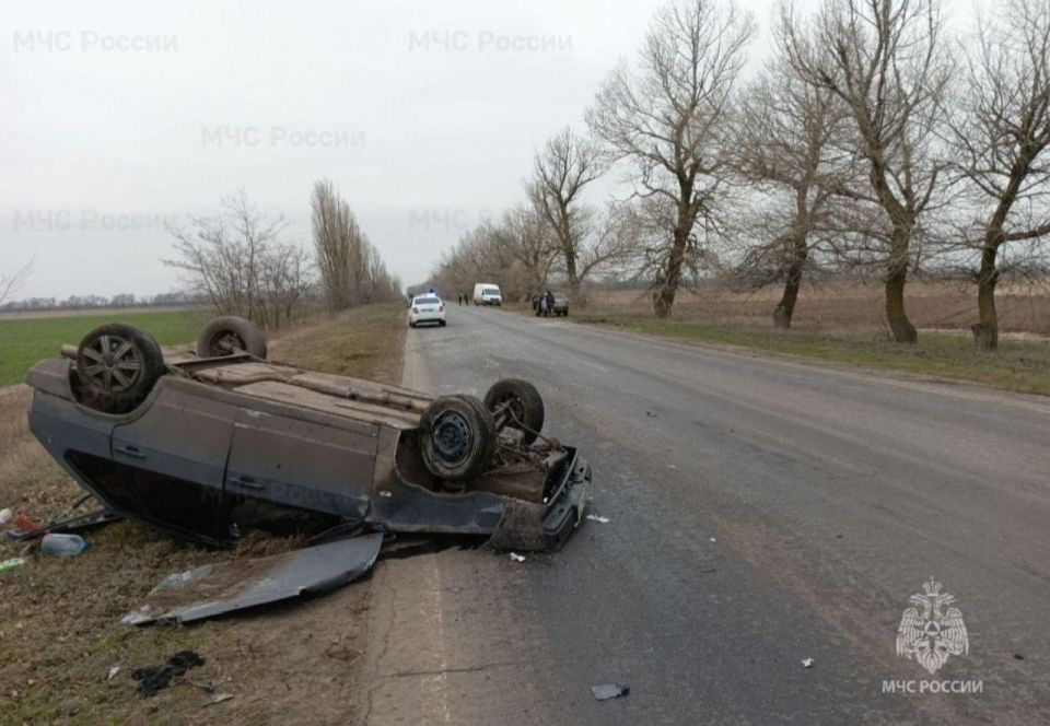 Наука в произведениях Пушкина