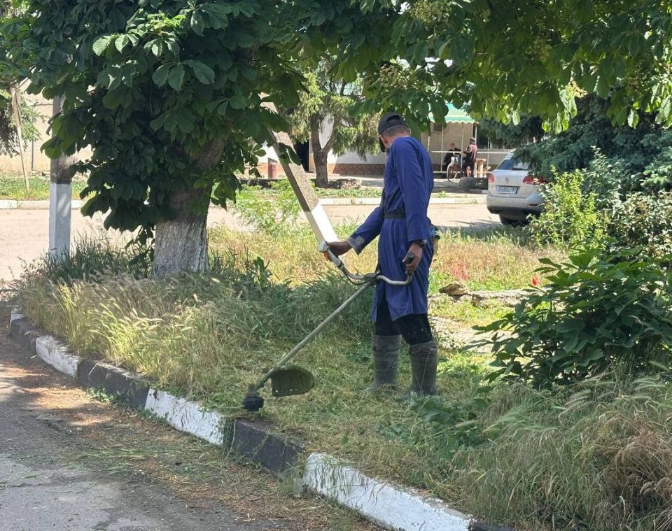 Плановые уборки в Скадовском округе