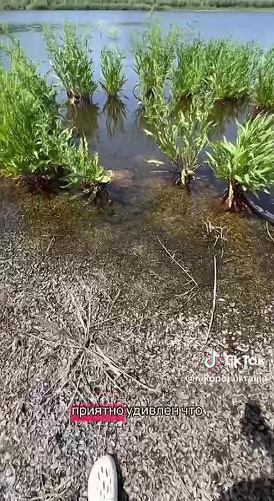  :    