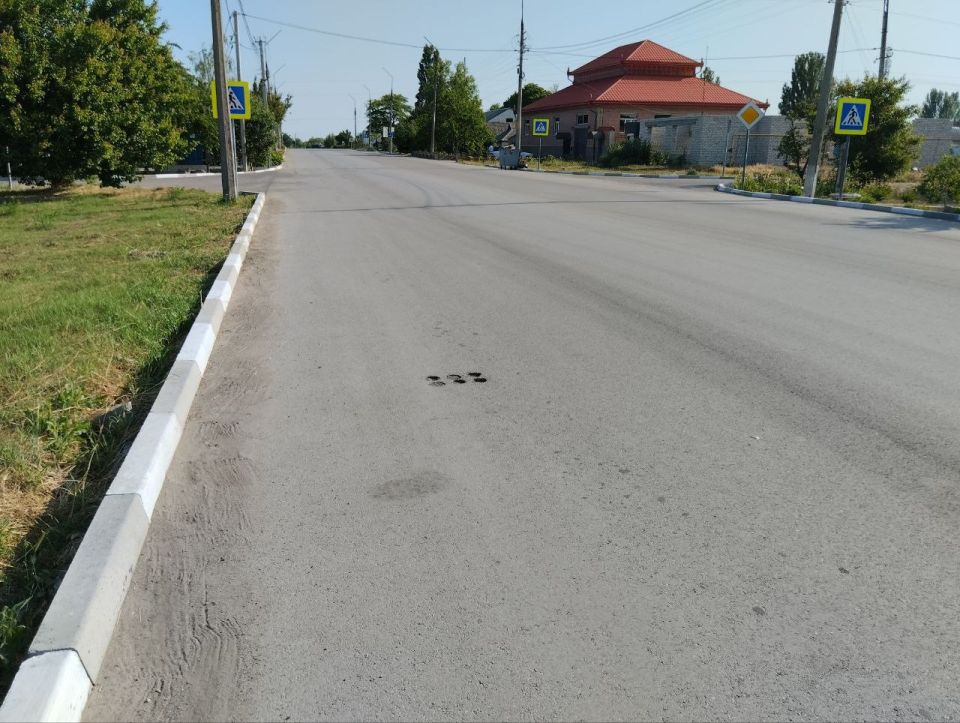 Чистота города – дело наших рук! Чистота города – дело наших рук!
