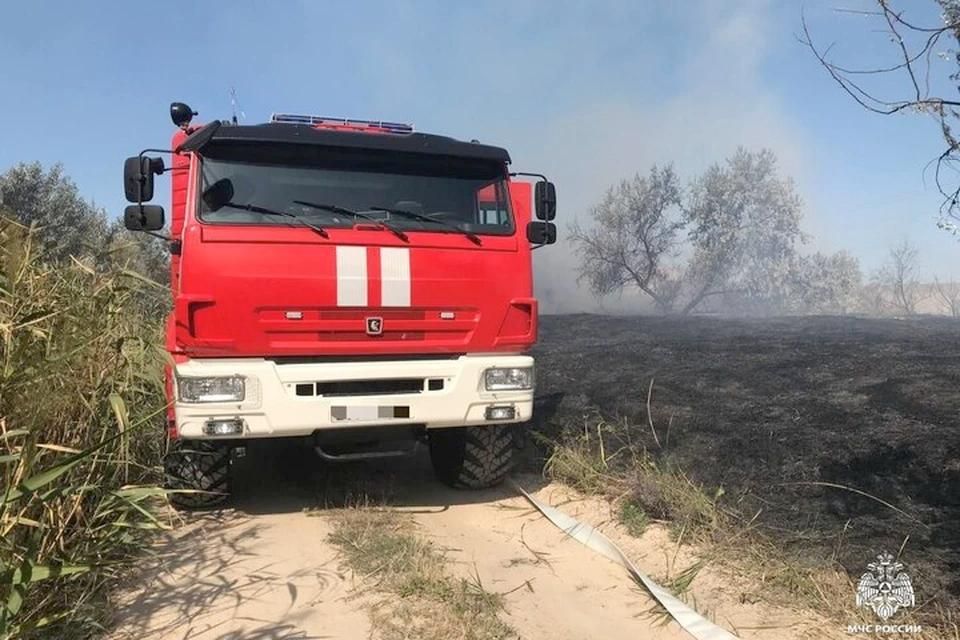 Восемь пожаров, в том числе лесной, произошло 8 июня в Херсонской области