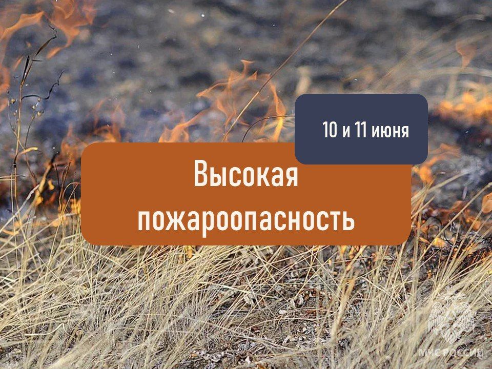       10-11 