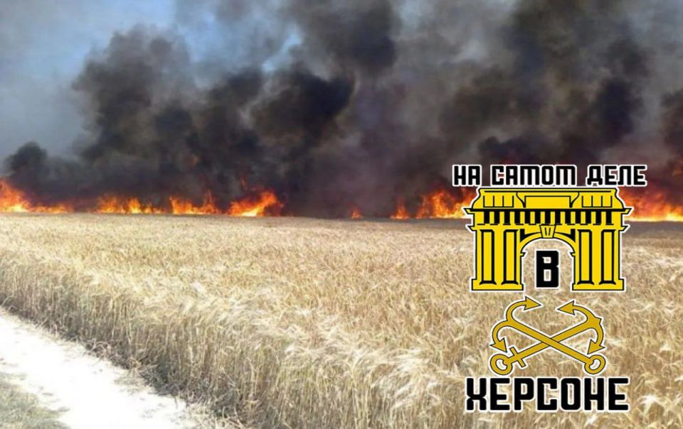 В Херсонской области, на правом берегу Днепра, фиксируются случаи преднамеренных поджогов сельхозугодий В Херсонской области, на правом берегу Днепра, фиксируются случаи преднамеренных поджогов сельхозугодий