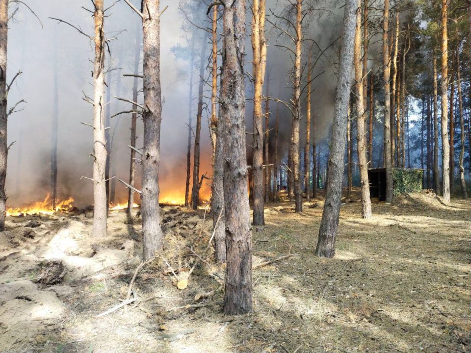 В Голопристанском лесхозе в июне зафиксировано 15 лесных пожаров общей площадью 73 гектара В Голопристанском лесхозе в июне зафиксировано 15 лесных пожаров общей площадью 73 гектара