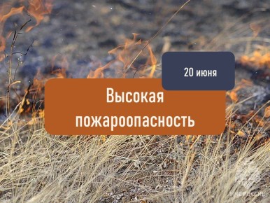 Высокая пожароопасность ожидается в Херсонской области 20 июня