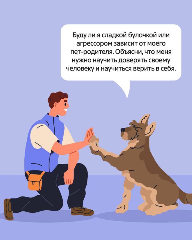 21 июня — Всемирный день кинолога 21 июня — Всемирный день кинолога