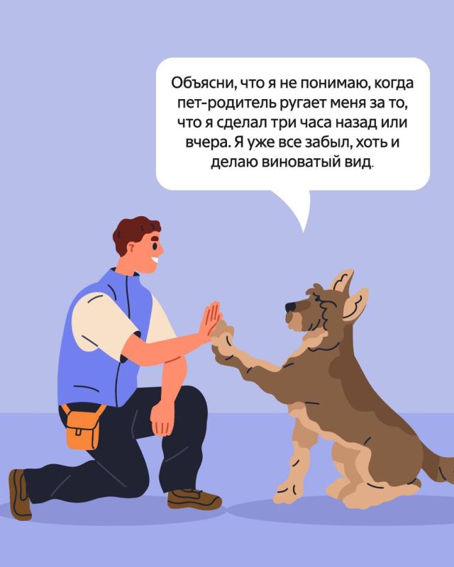 21 июня — Всемирный день кинолога 21 июня — Всемирный день кинолога