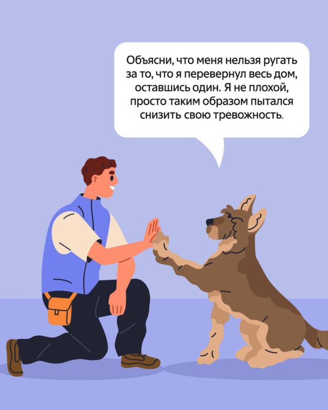 21 июня — Всемирный день кинолога 21 июня — Всемирный день кинолога