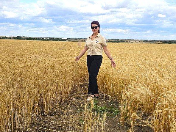 Юлия Семякина: Сегодня посетила село Новогригоровка, осмотрела поля с пшеницей, озимым ячменем, горохом и подсолнечником, пообщалась с местными фермерами Юлия Семякина: Сегодня посетила село Новогригоровка, осмотрела поля с пшеницей, озимым ячменем, горохом и подсолнечником, пообщалась с местными фермерами
