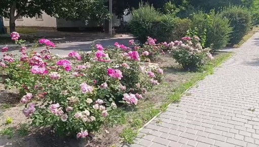 Доброе утро, жители Каховского муниципального округа!