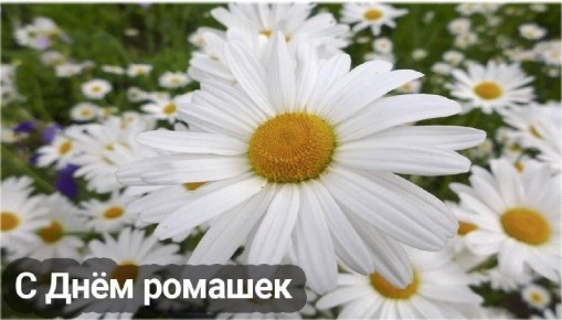24 июня – отмечается 15 праздников