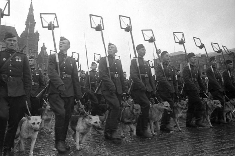 Энвер Абдураимов: Триумф вечности: Парад Победы 1945 Энвер Абдураимов: Триумф вечности: Парад Победы 1945
