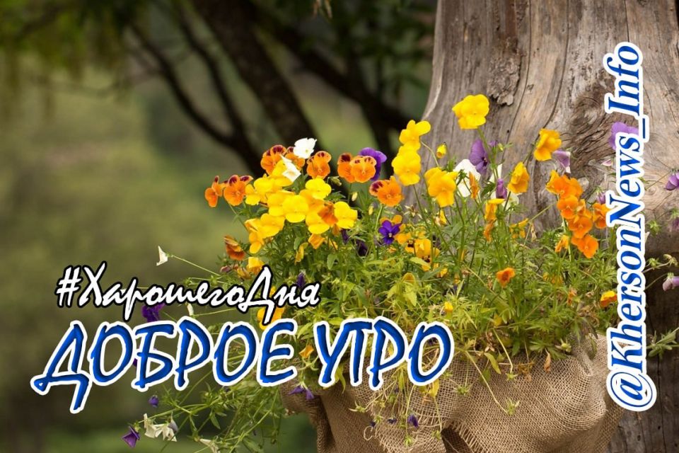 Доброе утро, друзья!. Всем хорошего, продуктивного дня, и только позитивных собеседников и приятных встреч