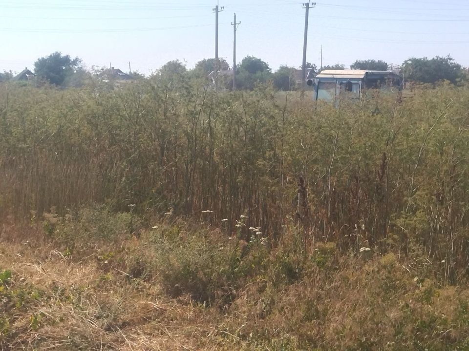 В пгт Лазурное проведены работы по благоустройству и пожарной безопасности В пгт Лазурное проведены работы по благоустройству и пожарной безопасности