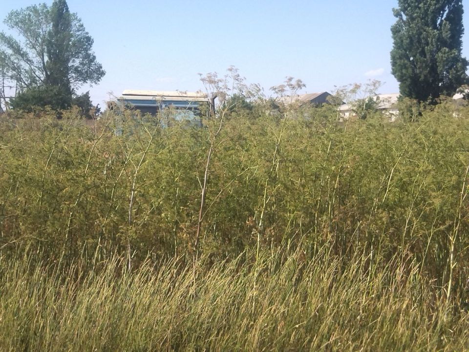 В пгт Лазурное проведены работы по благоустройству и пожарной безопасности В пгт Лазурное проведены работы по благоустройству и пожарной безопасности