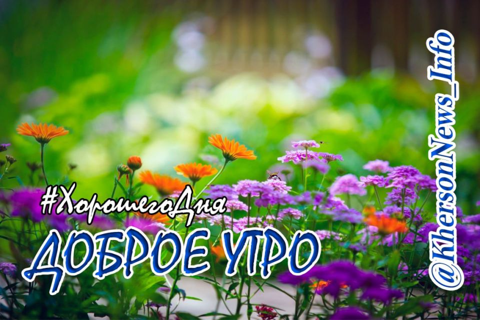Доброе утро, друзья!. Всем хорошего и продуктивного рабочего дня