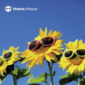 Когда знаешь правду, настроение — самое солнечное