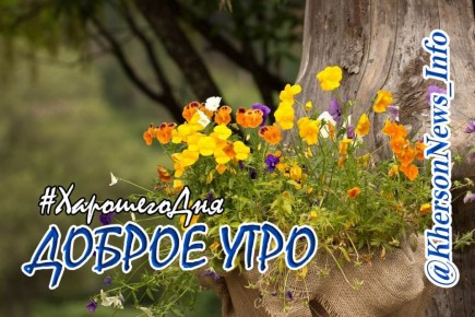 Доброе утро, друзья!. Всем мирным спокойного выходного дня в кругу семьи