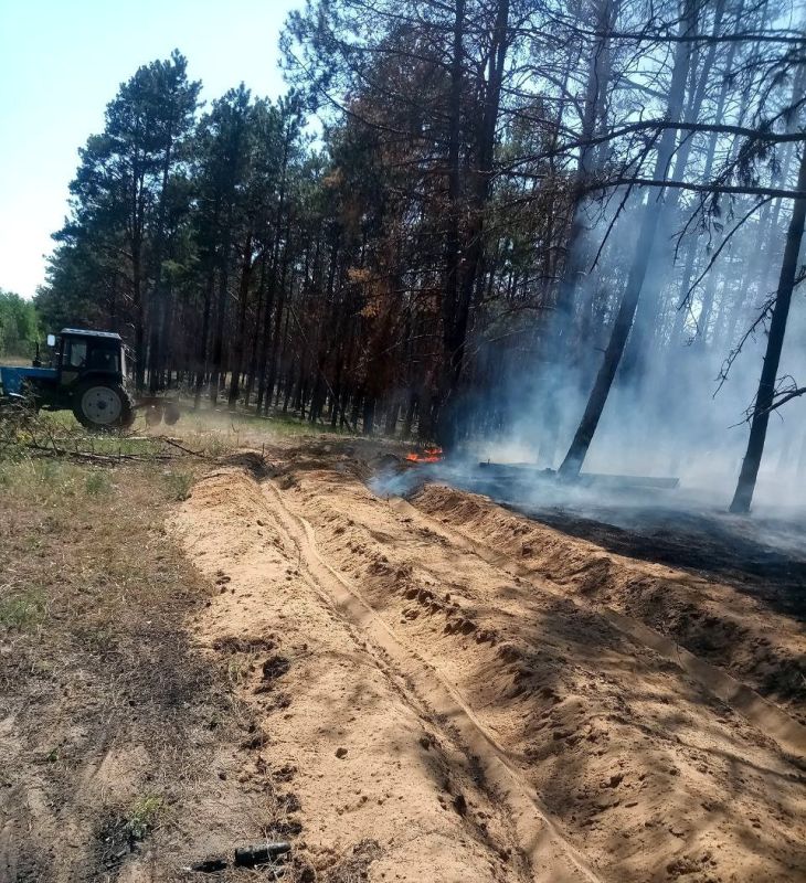 Сотрудники природного парка «Алешковские пески» ликвидировали крупные лесные пожары в Новомаячковском лесничестве Сотрудники природного парка «Алешковские пески» ликвидировали крупные лесные пожары в Новомаячковском лесничестве