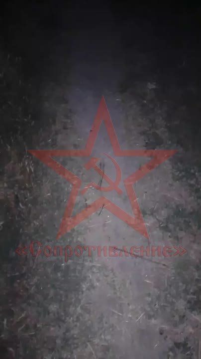   &quot; &quot;            