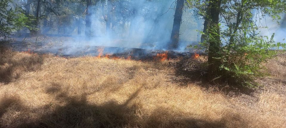 В Чернянке повреждено здание магазина в результате атаки дронов ВСУ В Чернянке повреждено здание магазина в результате атаки дронов ВСУ