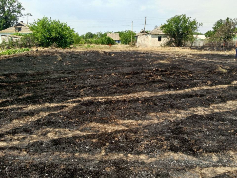 В селе Черноморовка Каховского округа ликвидировали возгорание сухостоя В селе Черноморовка Каховского округа ликвидировали возгорание сухостоя
