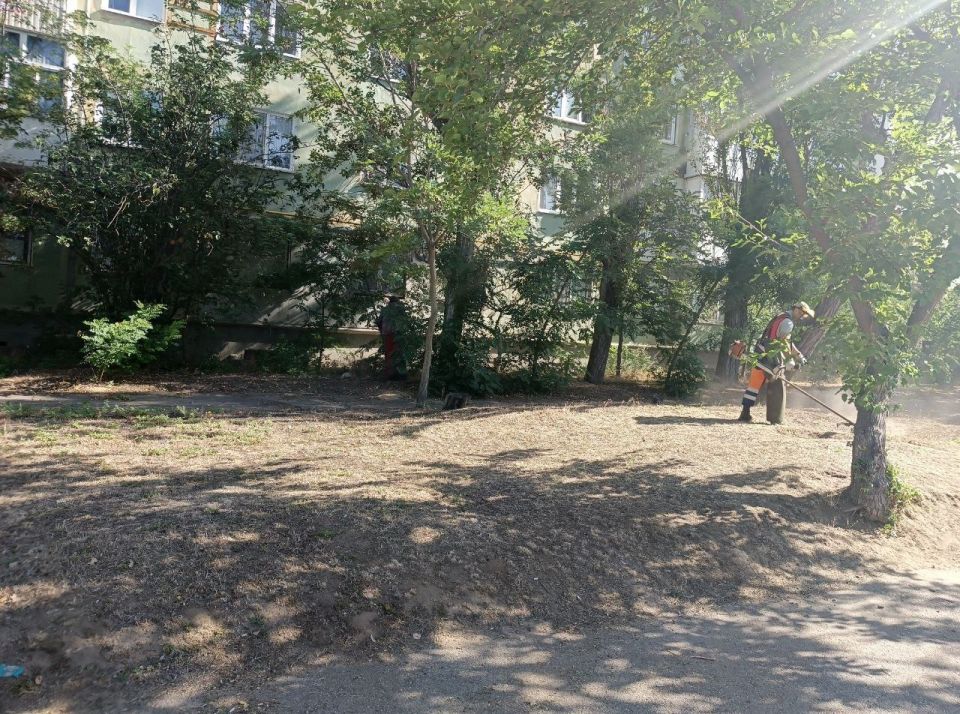 В Новой Каховке формируют противопожарные полосы для защиты от огня В Новой Каховке формируют противопожарные полосы для защиты от огня