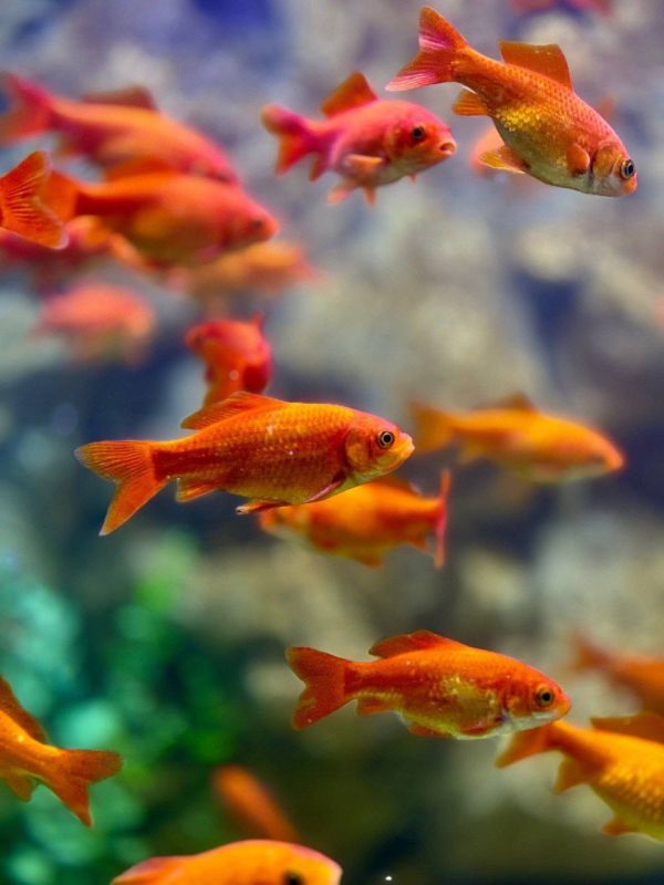 Надежда Бабешко: Всё хорошее рано или поздно заканчивается Надежда Бабешко: Всё хорошее рано или поздно заканчивается