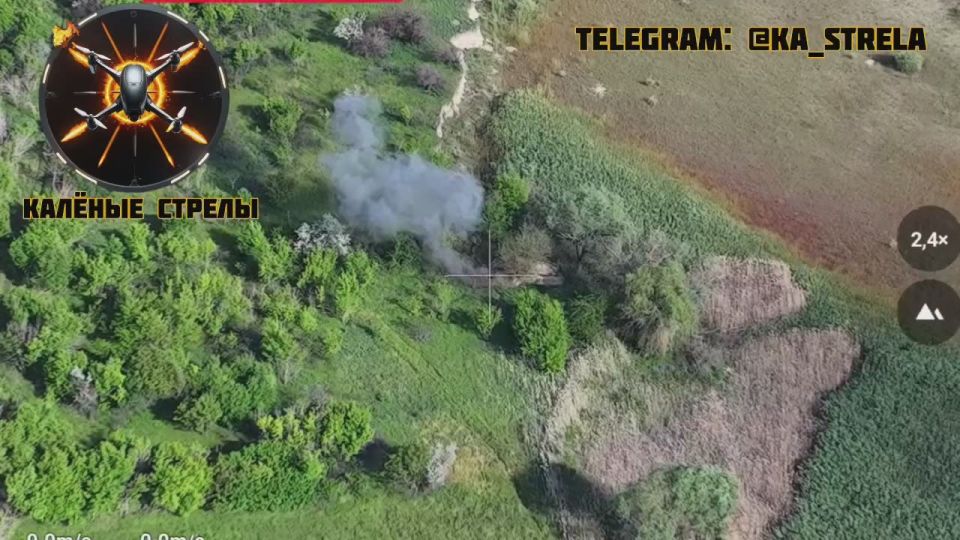       FPV-    