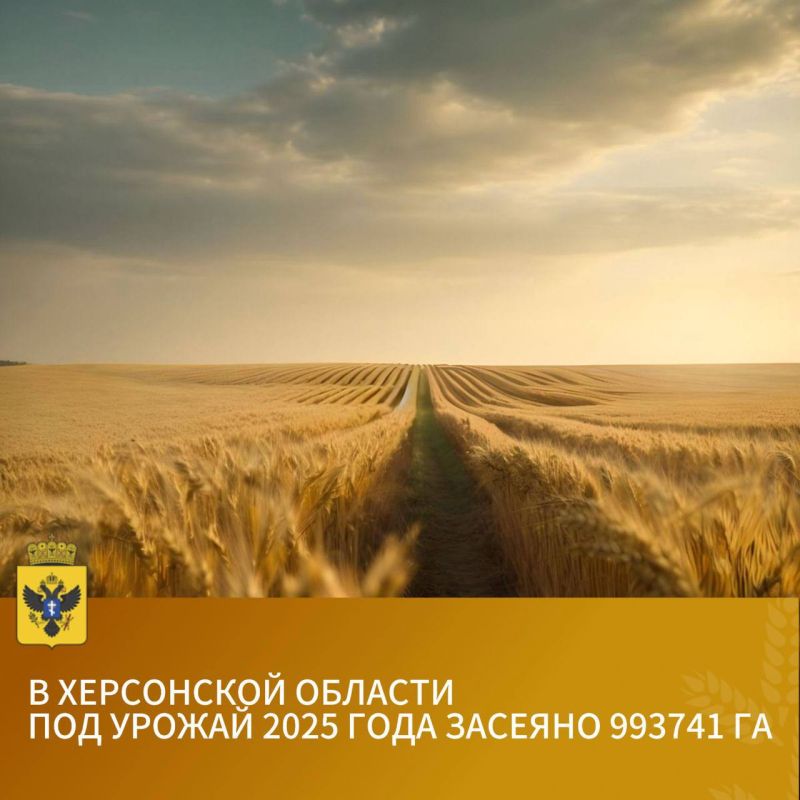      2025     993741 