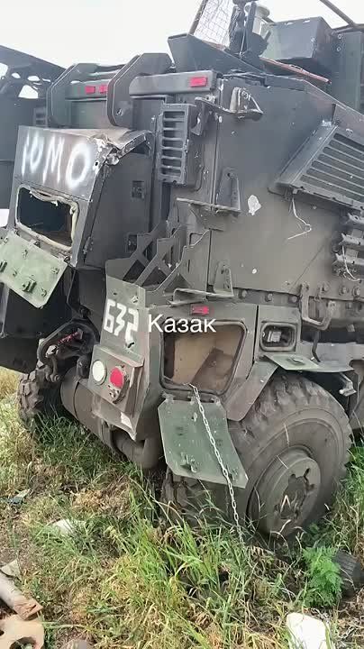     -    International MaxxPro  