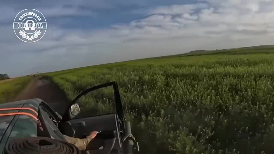   FPV    