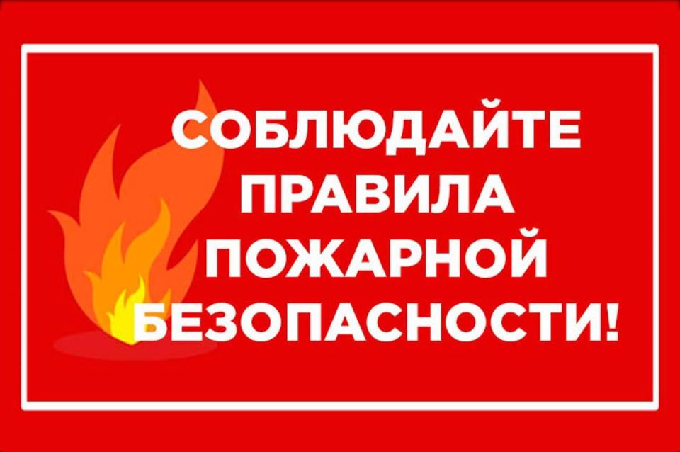     ,      ѻ