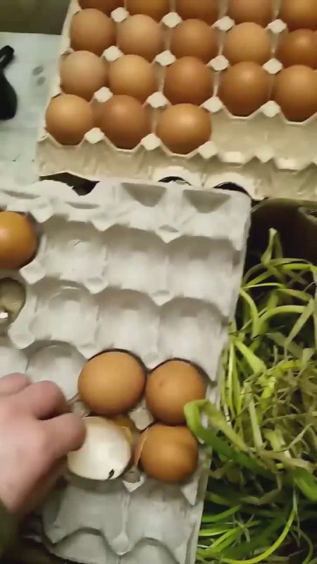   :        