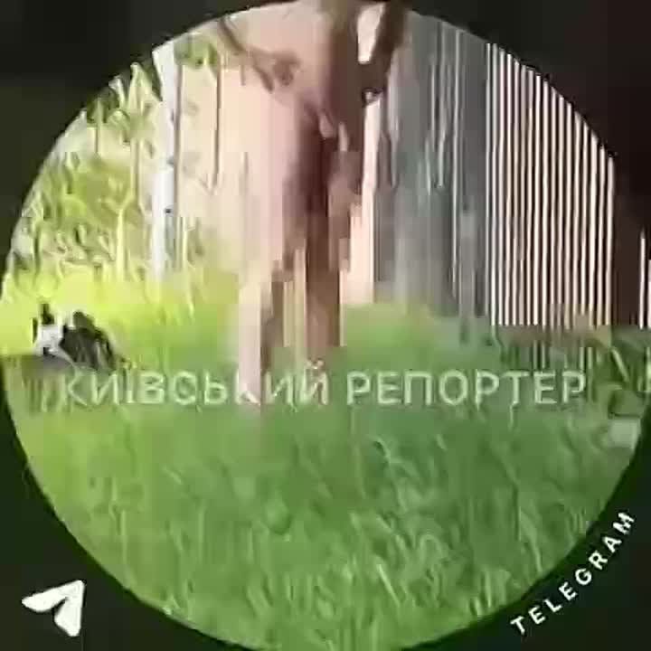     ,         !