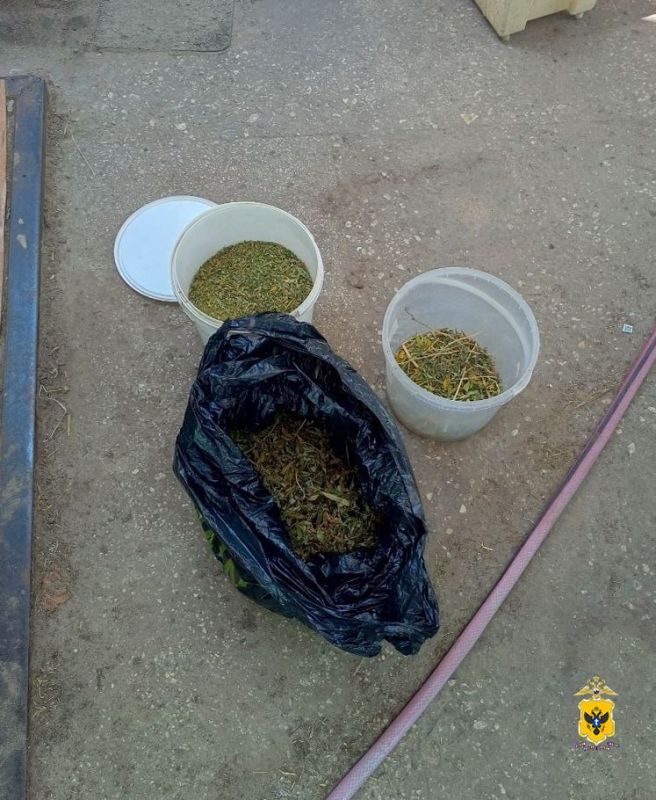 В Херсонской области полицейские изъяли партию марихуаны у местного жителя В Херсонской области полицейские изъяли партию марихуаны у местного жителя