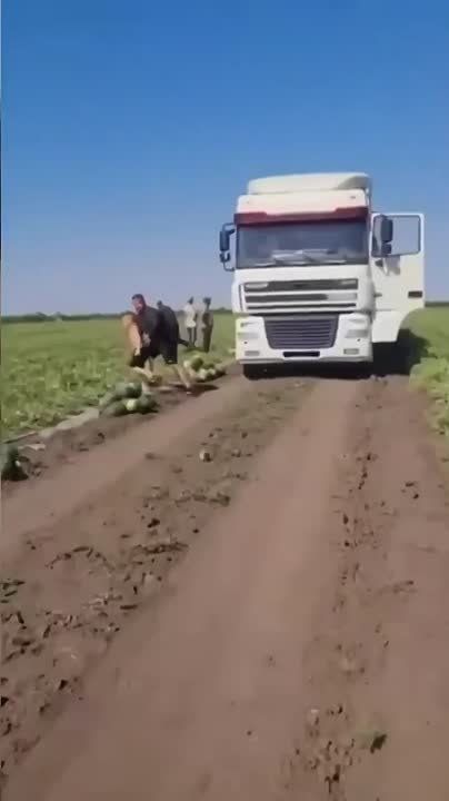         -      ,   . ,      ,     ...