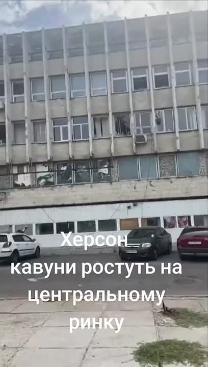 !   ,   ,    